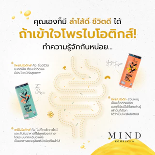 MIND KOMBUCHA Sparkling สูตรน้ำตาลน้อย เครื่องดื่มชาหมัก คอมบูชะ สปาร์คกลิ้ง ขนาด 240 ml