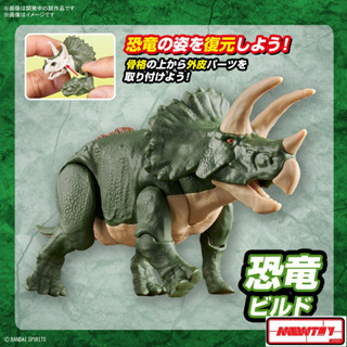 NEW DINOSAUR PLASTIC MODEL KIT BRAND TRICERATOPS