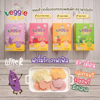 รวมวาฟเฟิลข้าวออแกนิคผสมผักผลไม้ อบกรอบ ✔️ไม่มีแป้งสาลี✔️ไม่มีไข่,นม ✔️ไม่มีน้ำตาล,เกลือ วาฟเฟิล เด็ก ละลายในปาก 100g