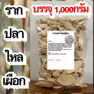 รากปลาไหลเผือก บรรจุ 1,000กรัม รากปลาไหลเผือกแห้ง สมุนไพรรากปลาไหลเผือก สมุนไพรรากปลาไหลเผือกแห้ง