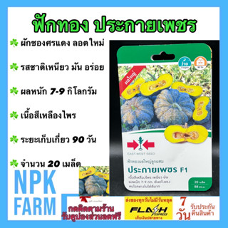 ผักซอง ศรแดง ฟักทอง ประกายเพชร จำนวน 20 เมล็ด ลอตใหม่ งอกดี เนื้อสีเหลืองไพร รสชาติดี เหนียว มัน อร่อย ผลหนัก 7-9 ก.ก.