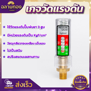 เกย์พ่นยาปั้มพ่นยา3สูบ เกจวัดแรงดัน แบบแท่งแก้ว เกลียว2หุน (ZZD-0031)