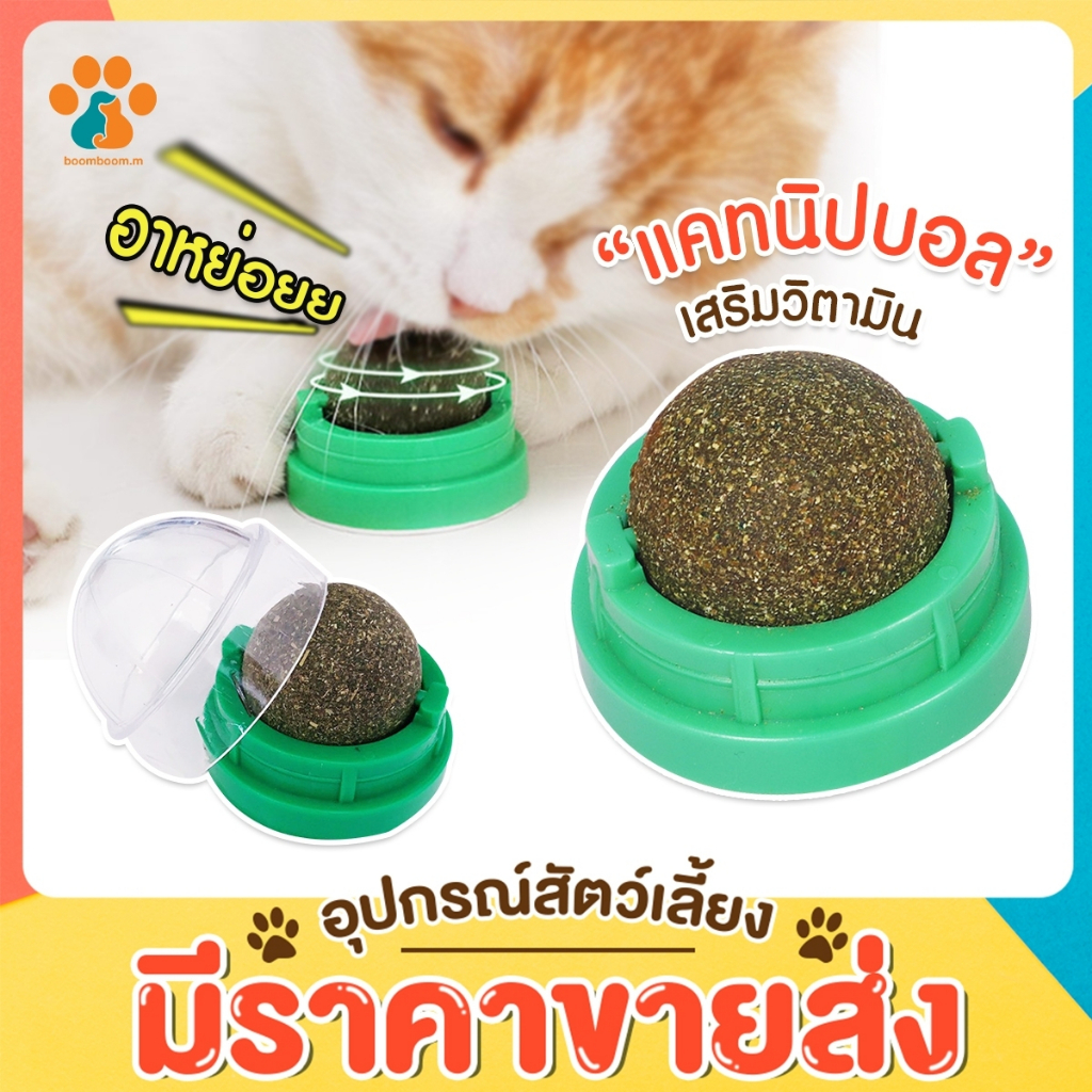 BoomBoom พร้อมส่ง กัญชาแมว แคทนิปบอล ติดกำแพง ไม่กลิ้งหาย catnip ball แมวฟิน บอลแมว หญ้าแมว
