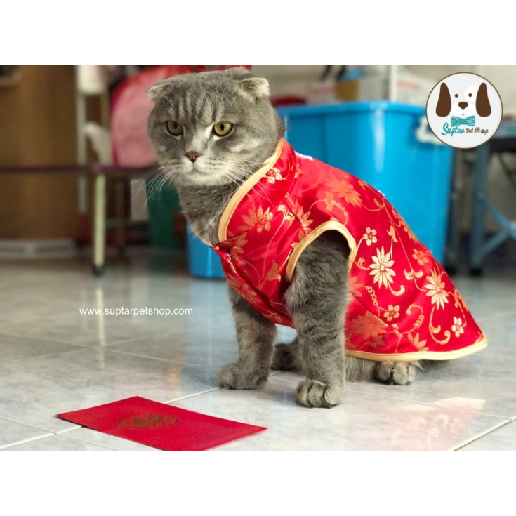 #ชุดจีนน้องหมา #ชุดจีนสุนัข #ชุดจีนปีใหม่ #ชุดจีนตรุษจีน #ชุดจีนพรีเวดดิ้ง #เสื้อผ้าสุนัข #เสื้อสุนัข #ชุดสุนัขตรุษจีน #ชุดสุนัขปีใหม่