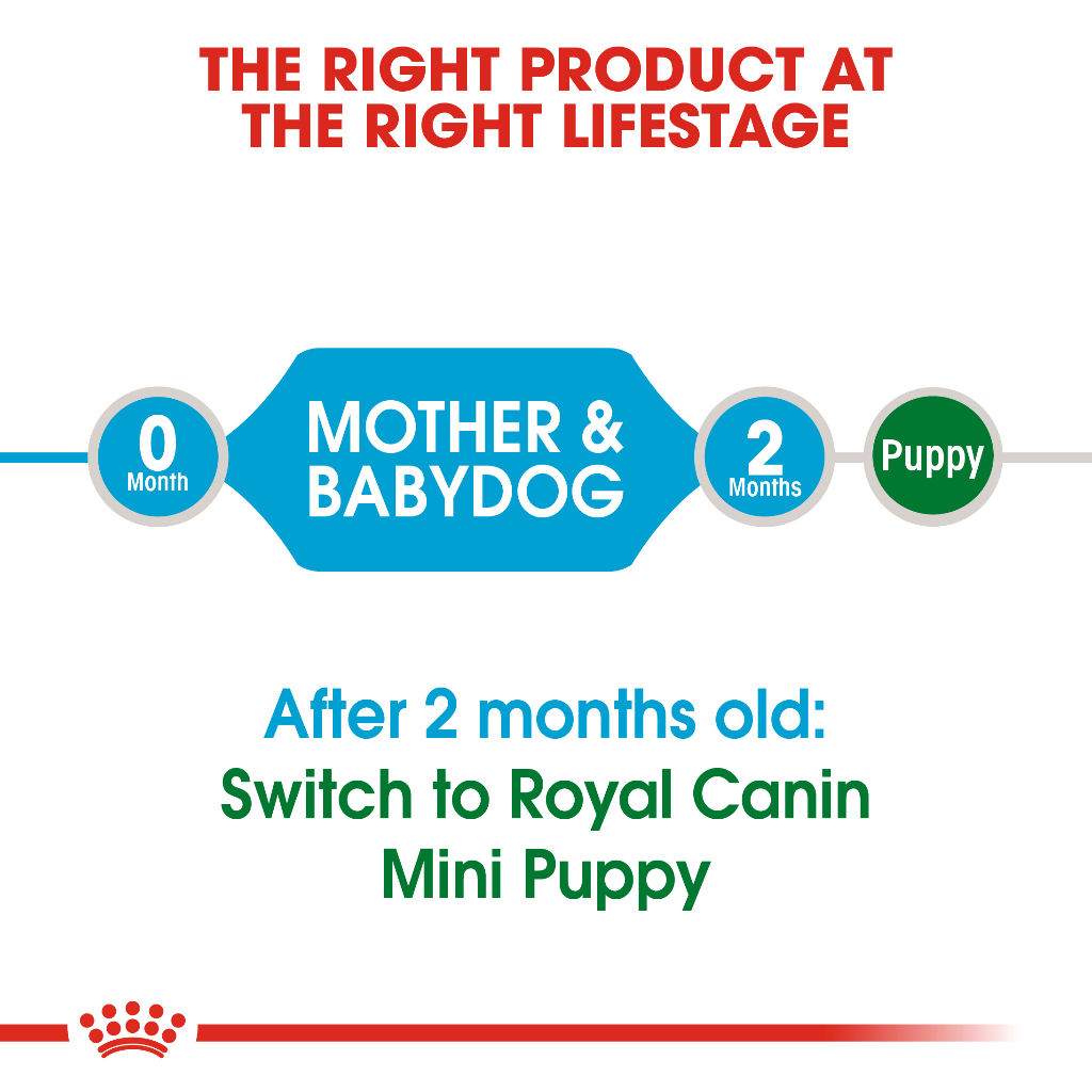 Royal canin Mini starter 8.5kg สำหรับแม่สุนัขพันธุ์เล็กตั้งท้อง-เลี้ยงลูก