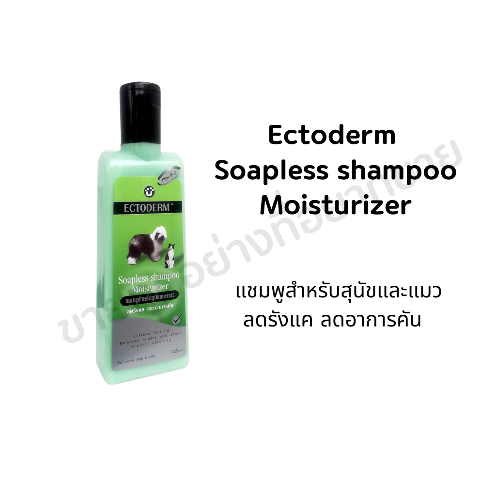 Ectoderm shampoo เอคโตเดอร์ม แชมพูลดรังแค ลดคัน