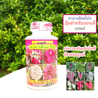 ปุ๋ยน้ำสำหรับบอนสี คาลาเดียมโปร 250ml ปลอดสารเคมี 100% เร่งการเจริญเติบโตดี สีสวยสมบูรณ์