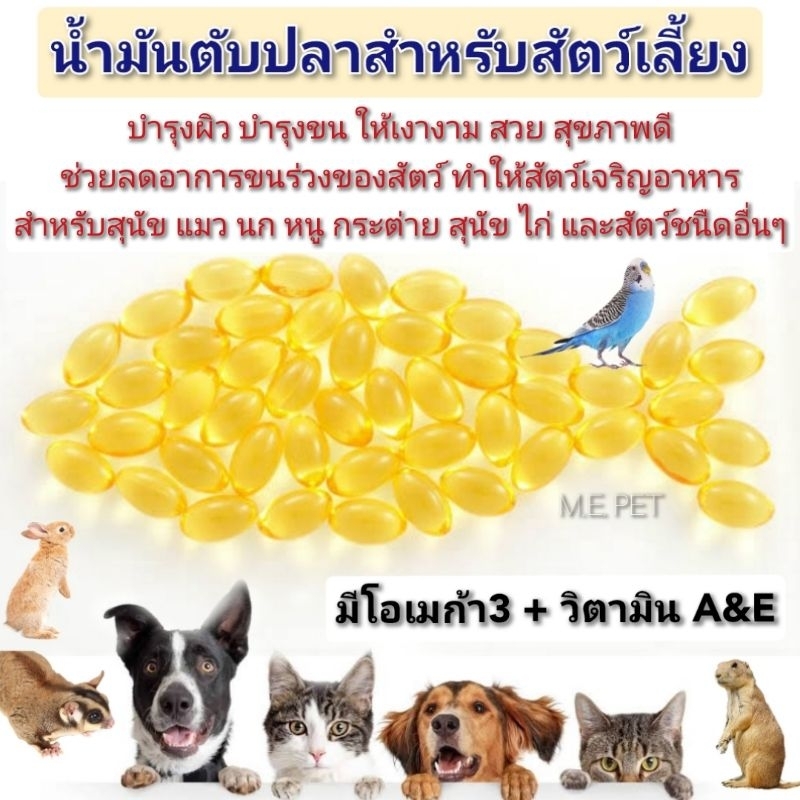 น้ำมันตับปลาสำหรับสัตว์เลี้ยง มีโอเมก้า3 เน้นบำรุงขน สำหรับสุนัข แมว นก หนู กระต่าย และสัตว์เล็กอื่นๆ