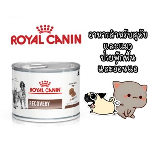 Royal Canin Recovery อาหาร สุนัข และแมว ป่วยพักฟื้น และอ่อนแอ