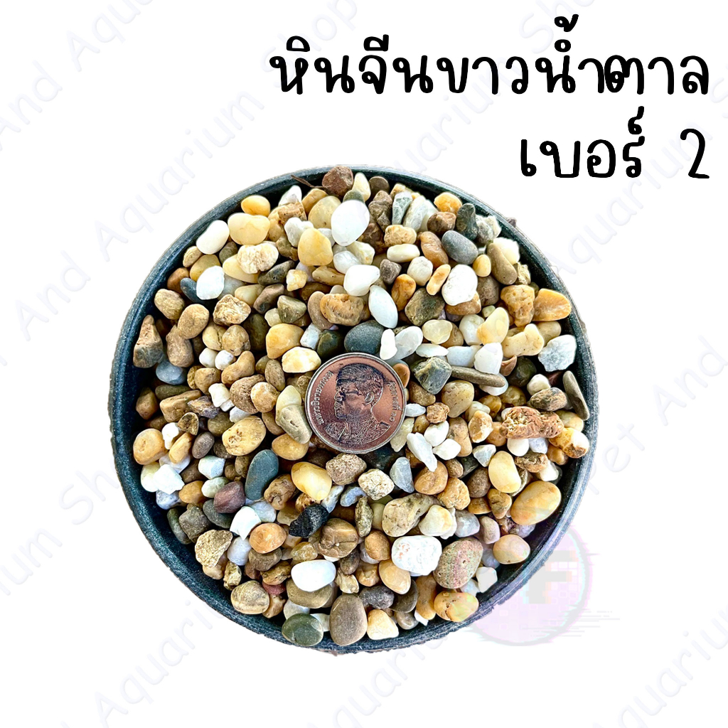 หินจีนขาวน้ำตาล หินตกแต่งตู้ปลา หินโรยหน้ากระถ่างต้นไม้  1 กิโล 20