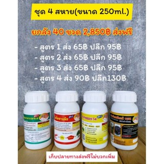 ชุดสี่สหายขนาด 250 ML แบบยกลัง