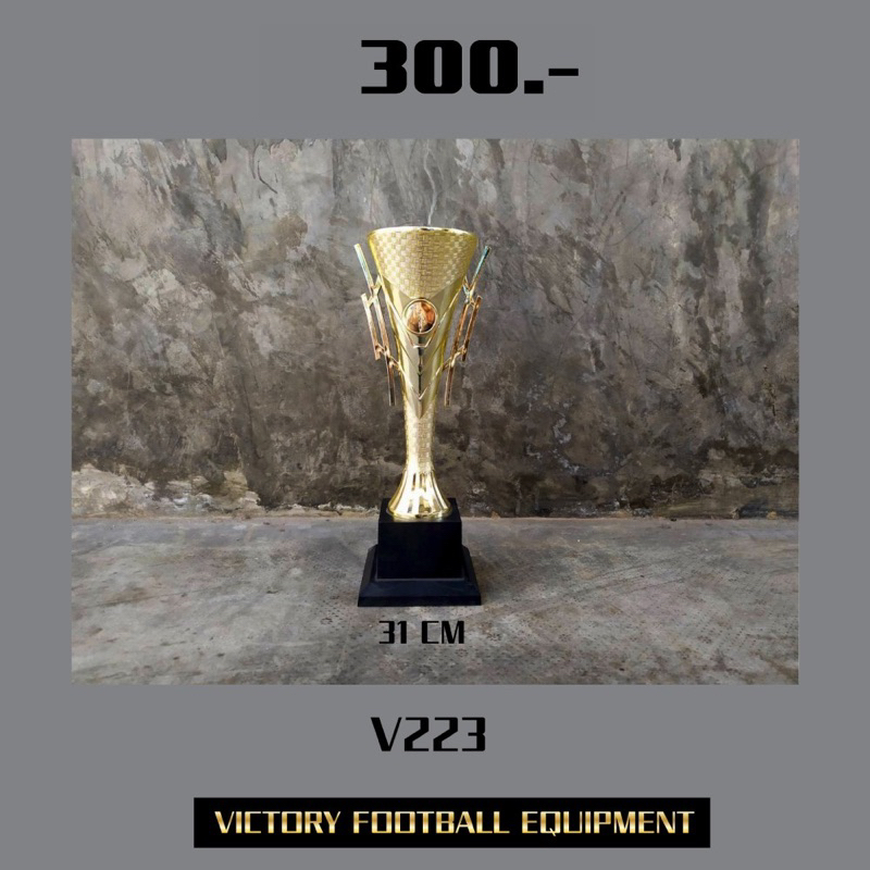 ถ้วยรางวัลSL043/31Cm V-223