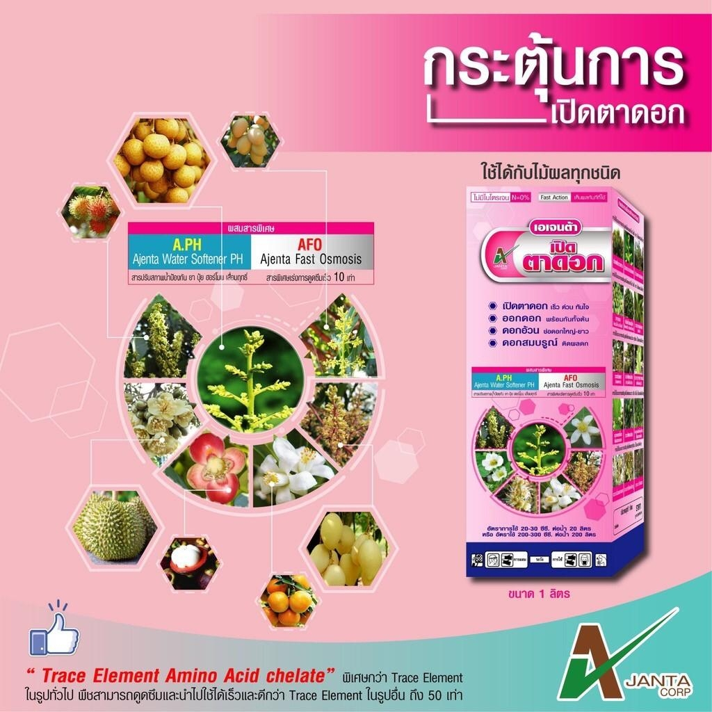 เปิดตาดอก ปุ๋ยเร่งดอก เอเจนต้า คอร์ป ปุ๋ยทางใบ ยาเปิดตาดอก ดอกดก ยืดช่อดอก ดอกอ้วน ติดดอกพร้อมกันทั้งต้น (1 ลิตร)