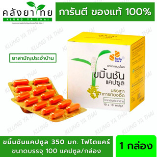 ขมิ้นชันแคปซูล ไฟโตแคร์ (องค์การเภสัชกรรม) ขนาดบรรจุ 100 แคปซูล/กล่อง (ยาสามัญประจำบ้าน)