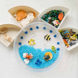 Sensory play tray ถาดกิจกรรม4ช่องพร้อมฝาปิด