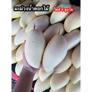 มะม่วงน้ำดอกไม้🥭 ไซส์กลาง [1 กิโลกรัม]ขนาด 4 ลูกโล