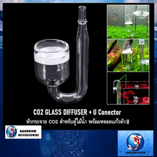 CO2 GLASS DIFFUSER + U Conector (หัวกระจาย CO2 สำหรับตู้ไม้น้ำ พร้อมหลอดแก้วตัว U)