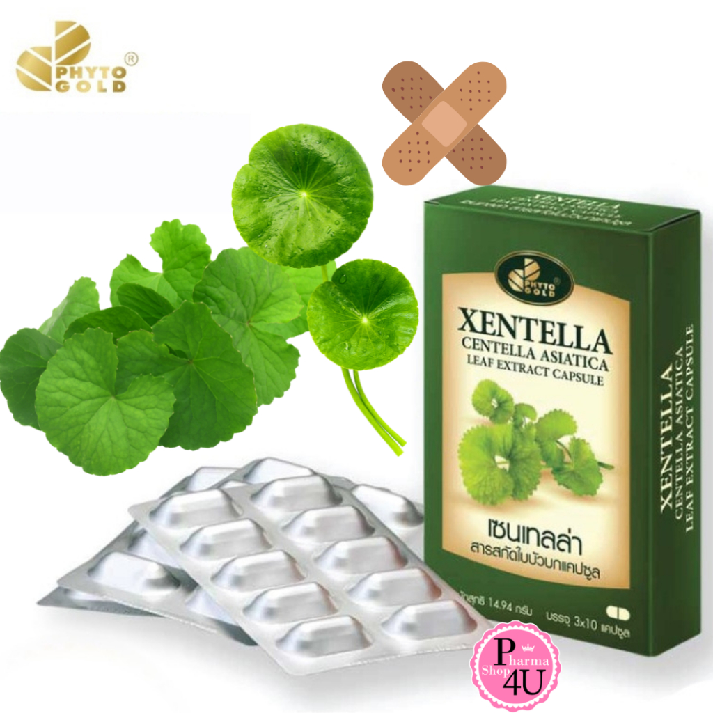 Phytogold Xentella Centella Asiatica Leaf Extract สารสกัด ใบบัวบก 30 แคปซูล #10378