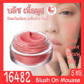 🍒16482 ชุดทำ บลัชออน เนื้อมูส🍒สามารถผลิตได้5 kg