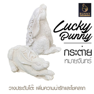 "กระต่ายหมายจันทร์ LUCKY BUNNY" (คู่) จัดสวน ประดับสวน แต่งสวน ใส่ต้นไม้ " Bunny Brown "