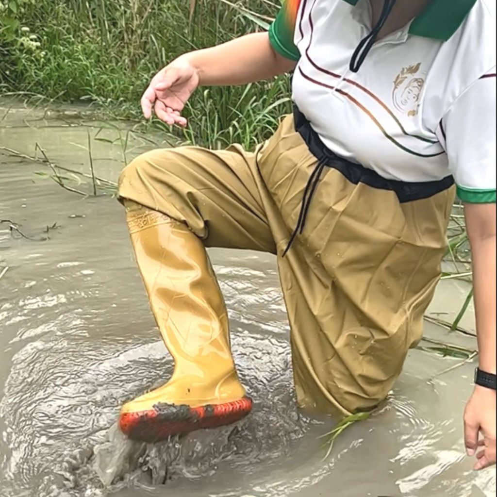 รูปภาพ 8