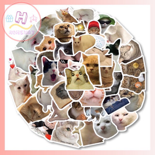 🐈สติ๊กเกอร์แมวเหมียว 322 คละลายไม่ซ้ำแบบ สติ๊กเกอร์รูปแมว ไดคัท 50ชิ้น กันน้ำ สำหรับตกแต่ง DIY หรือเป็นของแถมแจกลูกค้า