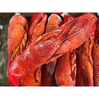 กุ้ง Canadian Lobster 500-600G/ตัว แช่แข็ง เนื้อแน่นแน่น