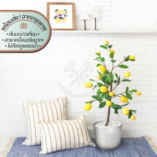 Faux Lemon Tree | ต้นเลม่อนเทียม | ต้นไม้ ดอกไม้ ใบไม้ ไม้เลื้อย ไม้ประดับ เทียม ปลอม ประดิษฐ์ เหมือนจริง กิ่ง ก้าน