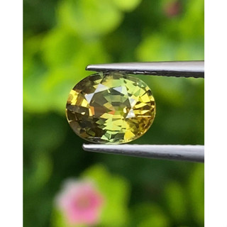 พลอย บุษราคัม Yellow Sapphire 1.72 กะรัต (Cts.) ดิบ/ Unheated พลอยแท้ อัญมณีมงคลประจําวันเกิด ครื่องประดับพลอย