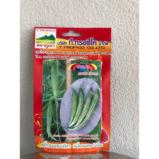 เมล็ดพันธุ์บวบงู (SNAKE GOURD) บรรจุ 8 เมล็ด ซื้อ 10 ห่อ ฟรี 1 ห่อ