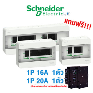 Schneider ตู้คอนซูเมอร์ยูนิต สแควร์ดี รุ่น Classic+  4 , 6 , 10 , 14 , 18 ช่อง ฝาใส (ตู้เปล่า) แถมลูกย่อย 16A-1 , 20A-1