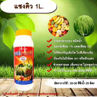 แซงคิว 1L. ธาตุอาหารรอง ธาตุอาหารเสริม ฮอร์โมนพืช ข้าวโตเร็ว พืชแตกตาดอก ตายอด เพิ่มขนาด ทนต่ออากาศหนาว allaboutplants