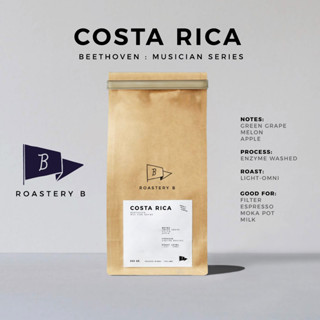 เมล็ดกาแฟคั่ว Costa Rica - Beethoven คั่วอ่อน โทน Grape Melon Apple - Roastery B