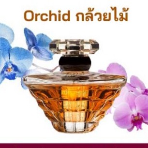 หัวเชื้อน้ำหอมกลิ่น &gt;&gt; กล้วยไม้ Orchid &lt;&lt; FRAGRANCE OIL ขนาด 30ml