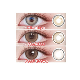 【2 คู่฿75】 Midroo คอนแทคเลนส์สี Mousse chocolate brown Big eye คอนแทคเลนส์ brown- 14.0mm/14.5mm