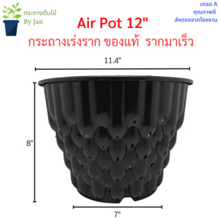 Airpot กระถางเร่งราก กระถางมีรู 12 นิ้ว / จานสำหรับ Airpot คุณภาพโรงงาน ราคาส่ง