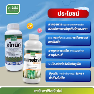 เนเทอไรฟ์ (เจียไต๋) ซิงค์(สังกะสี)+ กำมะถัน ธาตุอาหารรอง อาหารเสริม ขนาด 1ลิตร