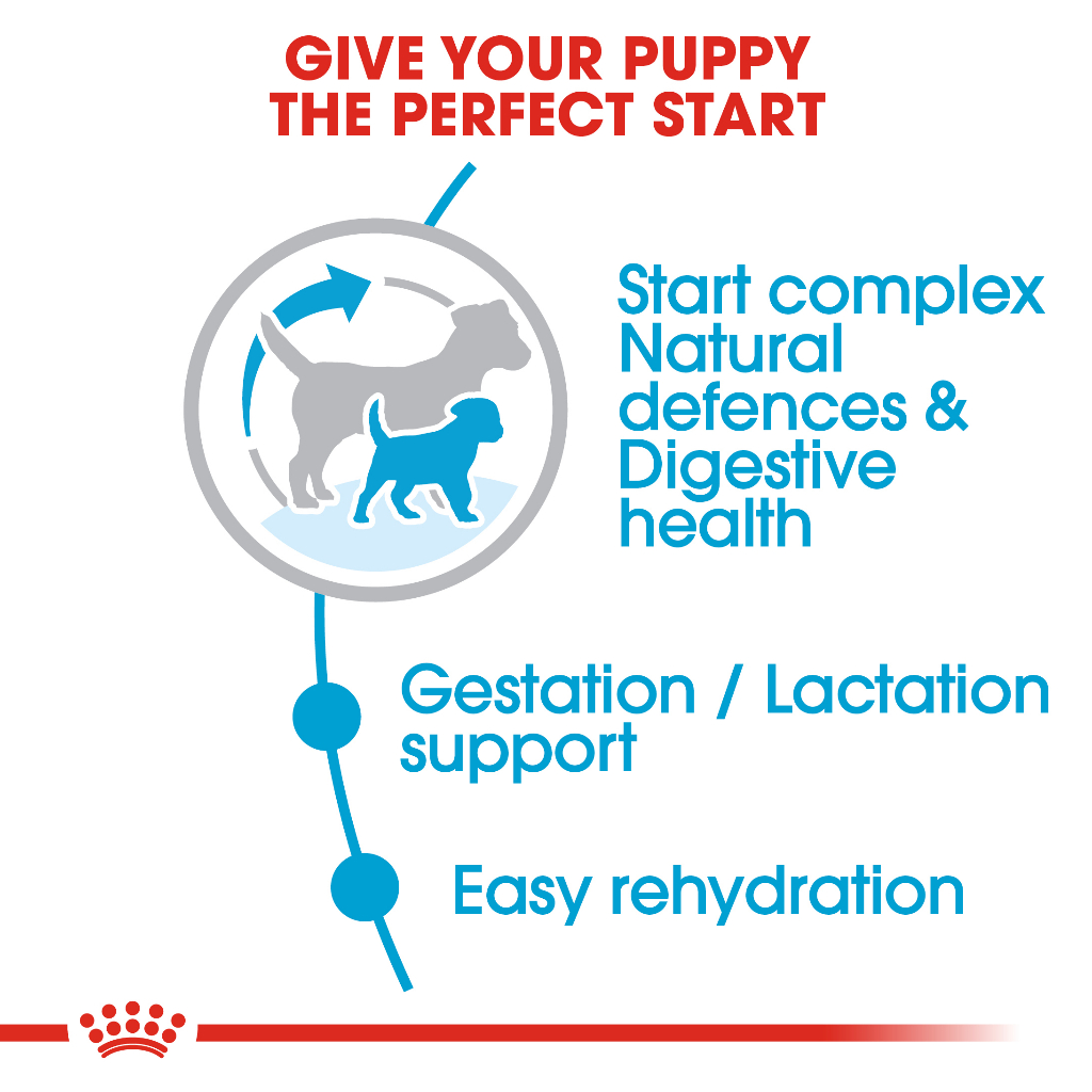 Royal canin Mini starter 8.5kg สำหรับแม่สุนัขพันธุ์เล็กตั้งท้อง-เลี้ยงลูก
