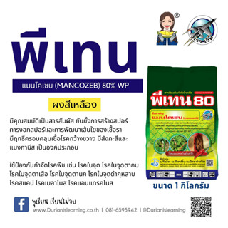 พีเทน 80 แมนโคเซฟ 80 %WP ผงสีเหลือง ขนาด 1000 มล.