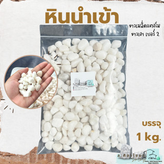 🌵หินนำเข้า ขาวเมล็ดแตงโม ขาวเงา เบอร์ 2 บรรจุ 1 kg. หินโรยกระถาง 🪴🪴 หินโรยหน้ากระถาง หินตกแต่งสวน หินตกแต่งตู้ปลา🌵