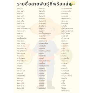 รายชื่อสายพันธุ์ต้นทุเรียนที่พร้อมส่ง ทักแชทแจ้งสายพันธุ์ได้เลยค่ะ