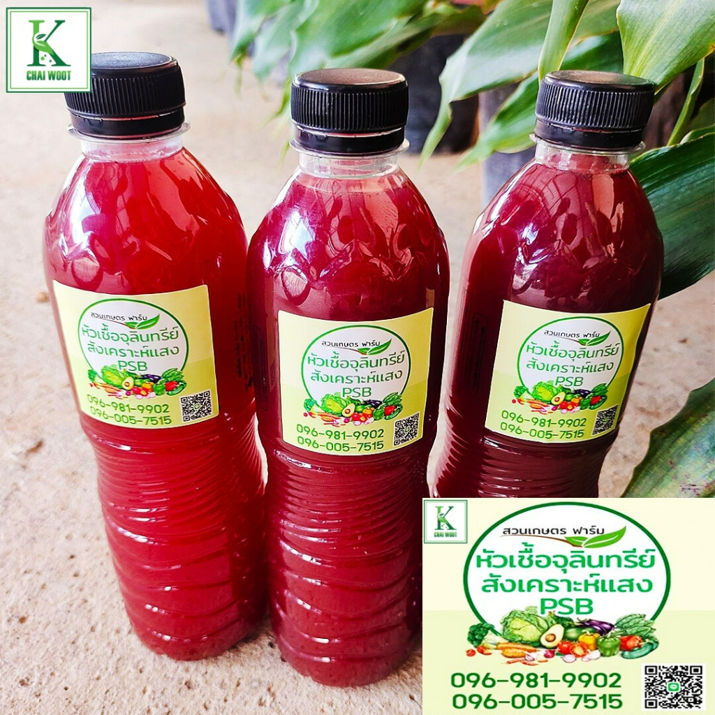 600 มม.หัวเชื้อจุลินทรีย์สังเคราะห์แสง ขนาด 600 มม. จุลินทรีย์สังเคราะห์แสง PSB สูตรเข้มข้น ใช้่ง่ายได้ผลเร็ว จุลินทรีย์