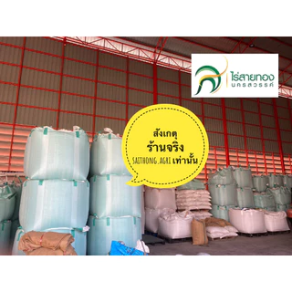 เมล็ดปอเทืองเมล็ดพันธุ์ปุ๋ยพืชสด กระสอบ 5 กก.พร้อมปลูก งอก 98% เมล็ดสะอาด แกร่งสมบูรณ์ *สังเกตุ ร้านจรืงจากนครสวรรค์ *