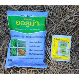 ชุด เร่งใบเขียวเข้ม+เร่งการกินอาหาร(ยาบ้าพืช) ผสมน้ำได้ 1,000 ลิตร ตัวช่วยให้ใบเขียวเข้ม เร่งการกินอาหาร