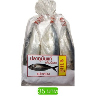 ปลาทูมัน ปลาทูมันแม่กลอง สูตรเค็มน้อย อร่อย แพ็คละ 35 บาท #ปลาทูมัน