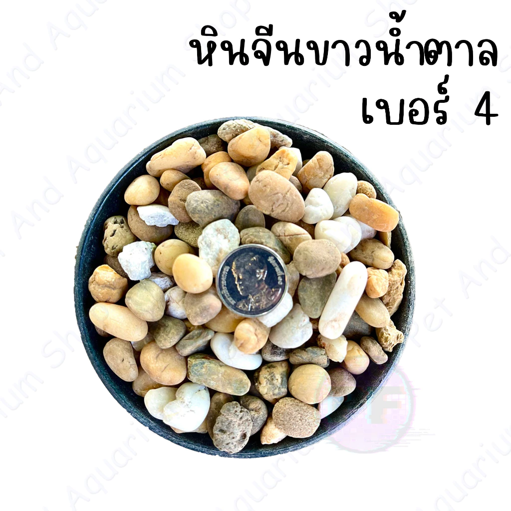 หินจีนขาวน้ำตาล หินตกแต่งตู้ปลา หินโรยหน้ากระถ่างต้นไม้  1 กิโล 20 thumbnail 6