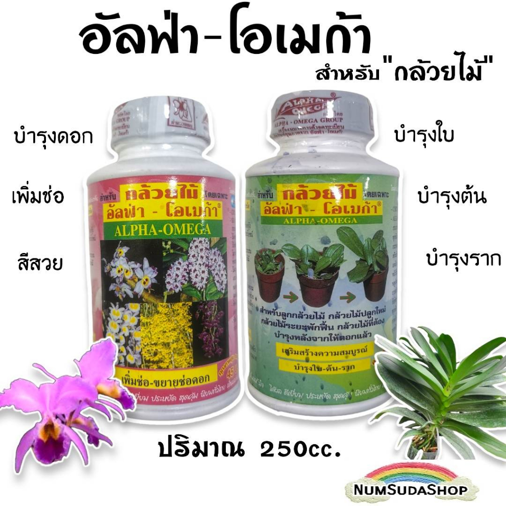 ปุ๋ยกล้วยไม้ บำรุงต้น ใบ ดอก ไม่เป็นอันตรายกับสิ่งมีชีวิต อัลฟ่าโอเมก้า มีให้เลือก 2 สูตร