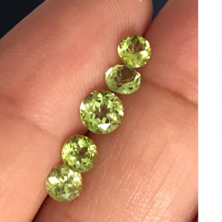 5pcs 1.65 พลอย เพอริดอท Peridot