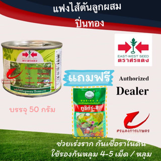 เมล็ดพันธุ์ แฟงไส้ตันปิ่นทอง 50g แถมกูซิก้าจี ซองเล็ก