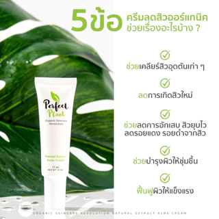 DR.NAME X Perfect Plant ครีมรักษาสิว ลดสิว สิวอักเสบ สิวอุดตัน สิวติดสาร สิวผด สิวฮอร์โมน รอยสิว 15g